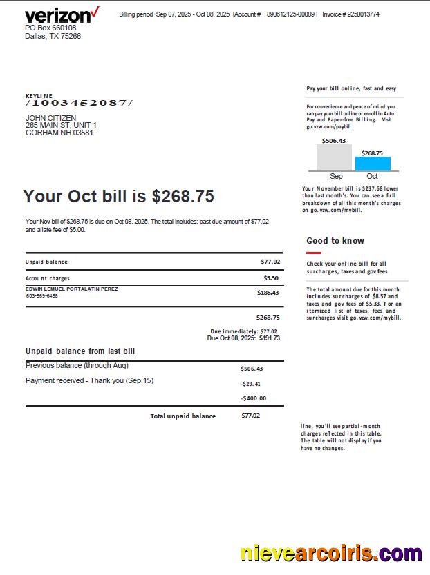 USA Verizon utility bill, version 3